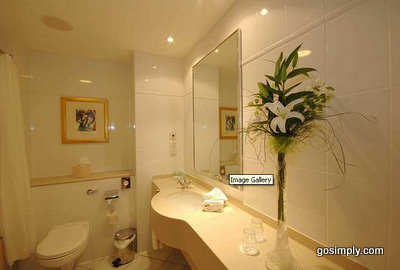 Belfast Airport Hilton Templepatrick guest bathroom