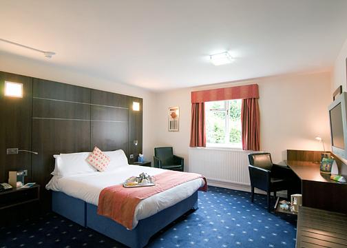 Birmingham Airport Quality Hotel Coventry bedroom
